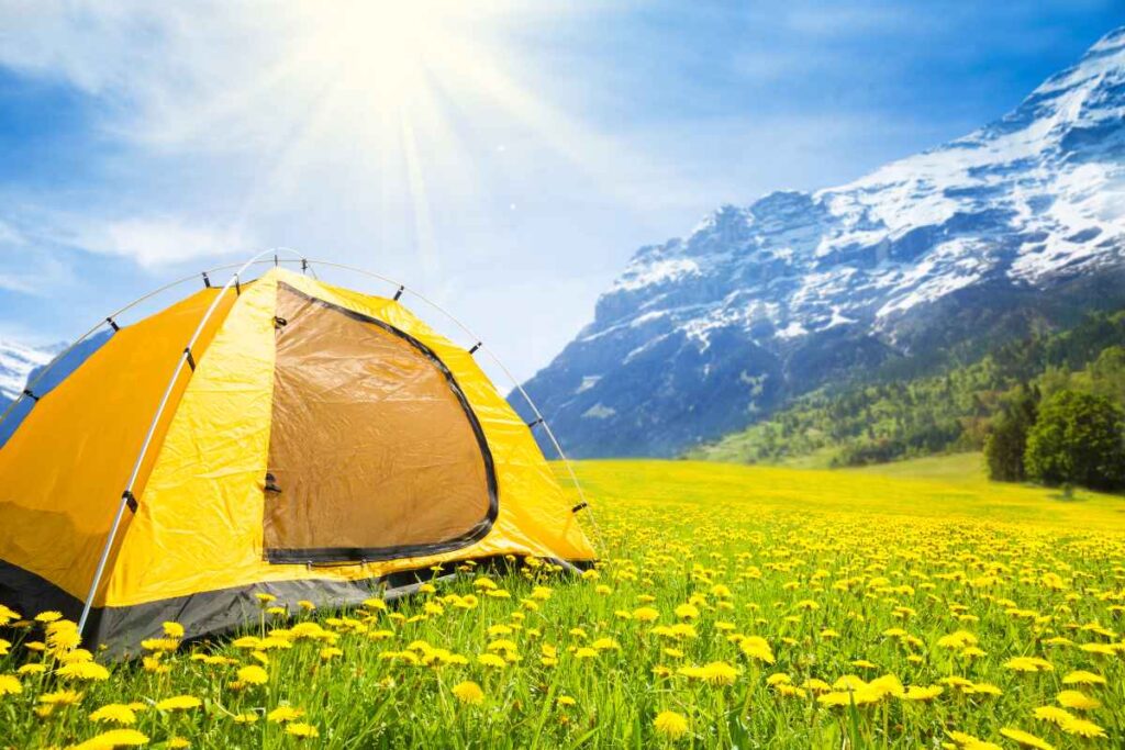 tenda gialla