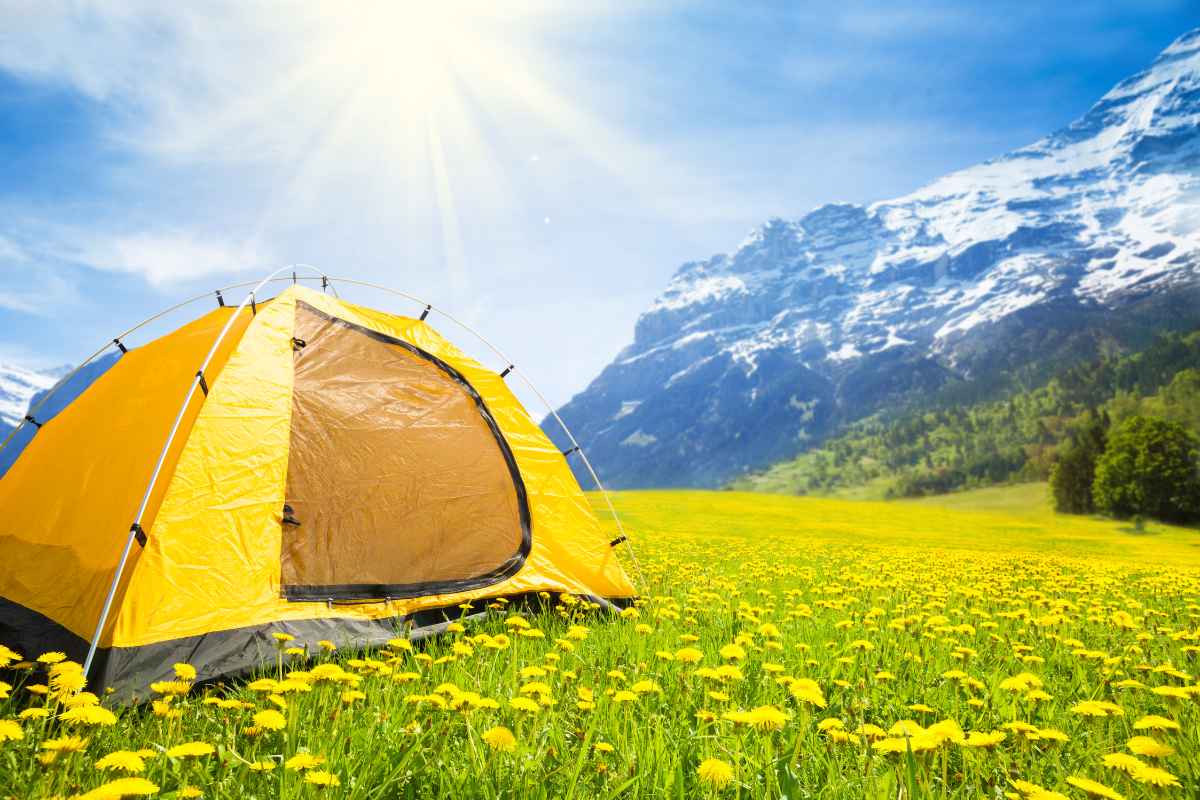 tenda gialla