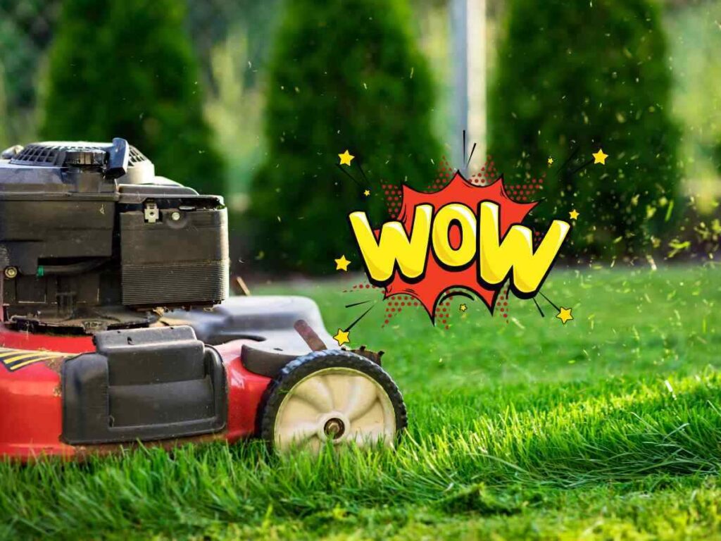 Se hai il pollice verde devi comprare questi robot tagliaerba, costano meno del giardiniere!
