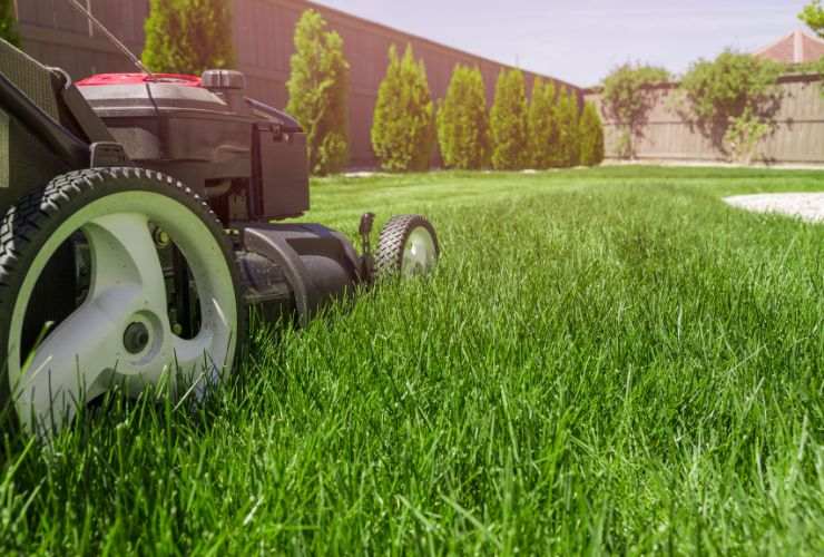 MOVA robot giardino