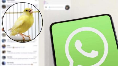 Questa nuova funzione, che sostituisce l’icona tradizionale di WhatsApp con quella di un canarino, simbolo di allegria e libertà, è diventata un vero fenomeno virale