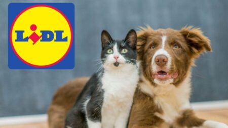 animali lidl