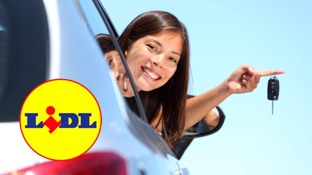 lidl accessori strumenti auto