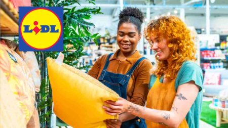 lidl zara home offerte